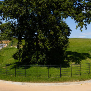 The Dorset Farm Estate Fencing | Bespoke Tree Guards
