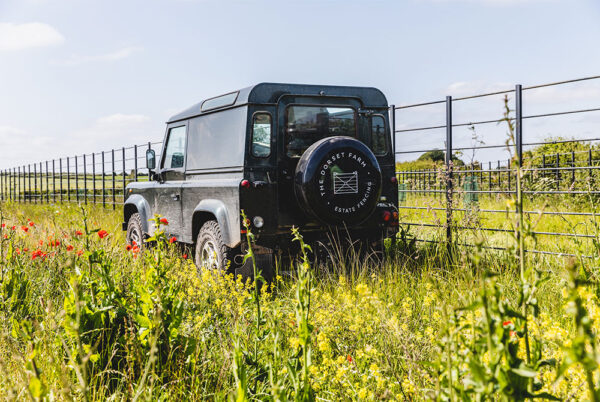The Dorset Farm Estate Fencing | Deer Fences
