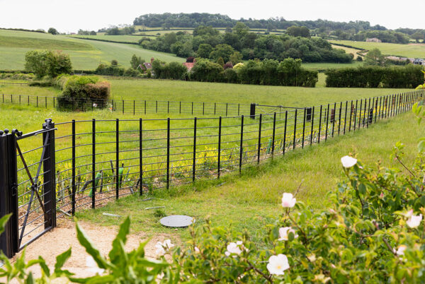 The Dorset Farm Estate Fencing | Deer Fences