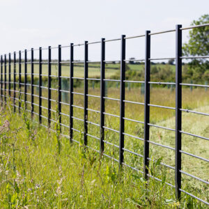 Dorset Farm Fencing | Deer Fencing