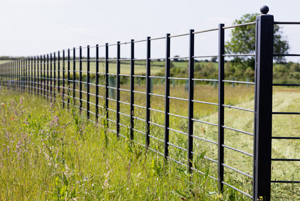 Dorset Farm Fencing | Deer Fencing
