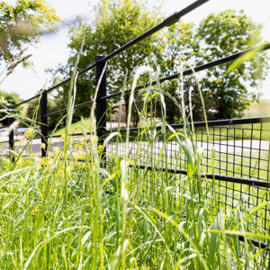 The Dorset Farm Estate Fencing | Bespoke Rabbit Fencing