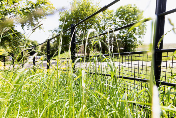 The Dorset Farm Estate Fencing | Bespoke Rabbit Fencing