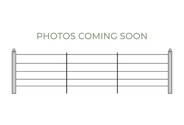 Estate Fencing - Photos coming soon