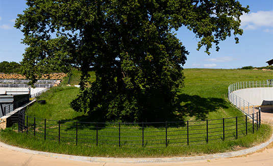 The Dorset Farm Estate Fencing | Bespoke Tree Guards