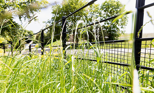 The Dorset Farm Estate Fencing | Bespoke Rabbit Fencing