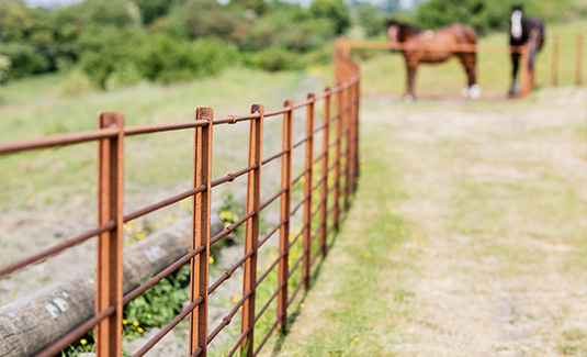 Dorset Farm Fencing | Stock Fencing